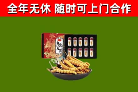 江城区回收冬虫夏草价格