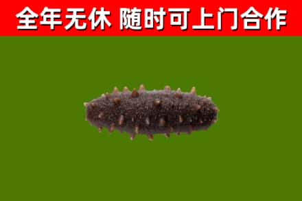 江城区烟酒回收干海参.jpg